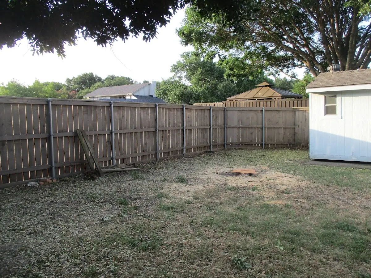 Cleared yard after professional tree removal in Oakland